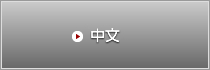 中文