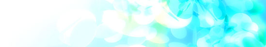 �g�s�b�N�X2010